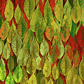 Autumn for lovers