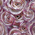 Space Roses